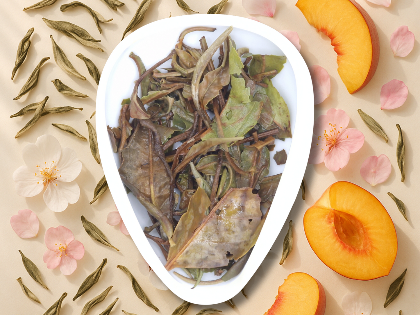 CHINE PAI MU TAN – thé blanc
