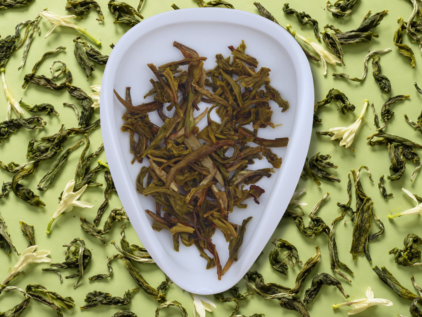 Chine Dragon vert (Bai Long)