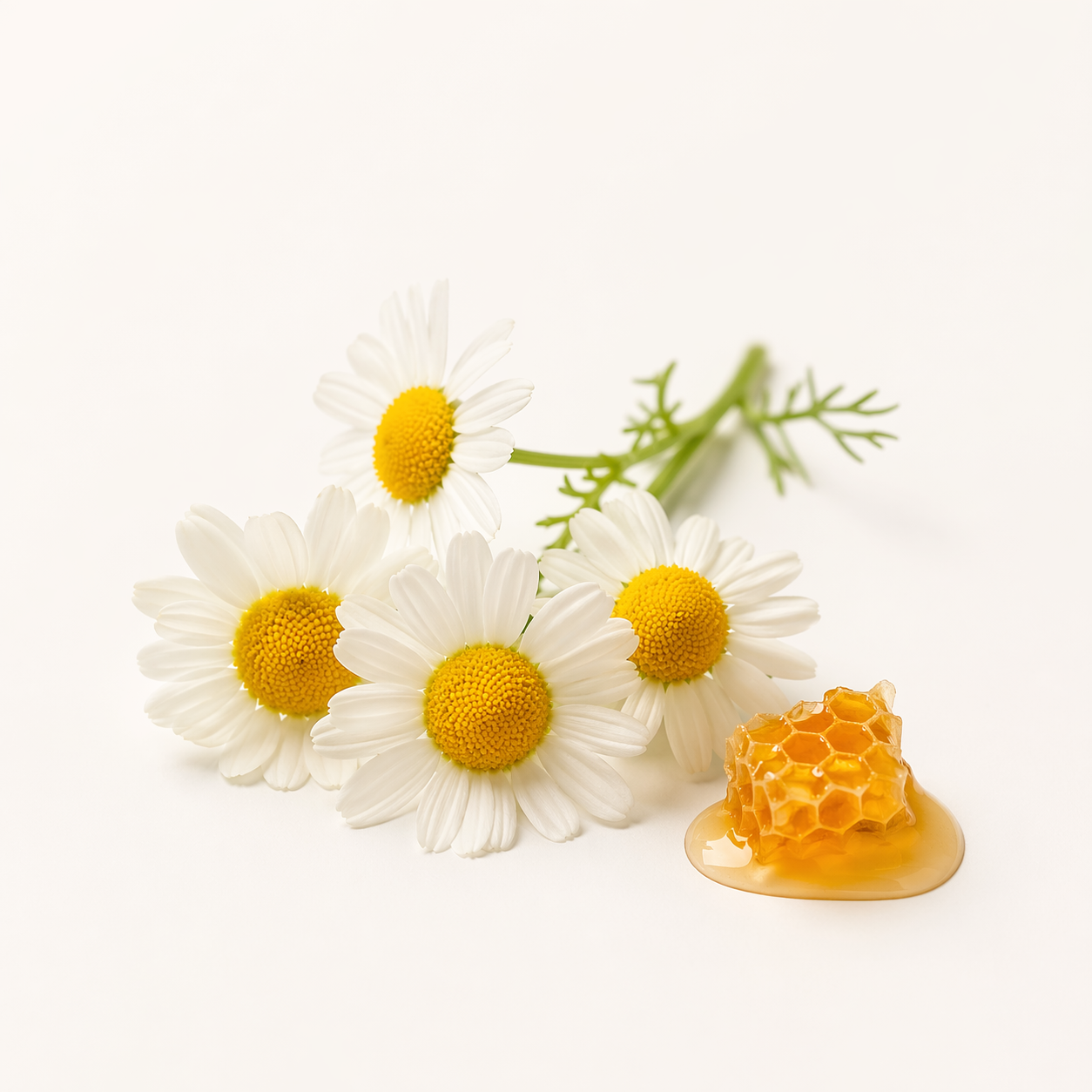 CAMOMILLE PURE