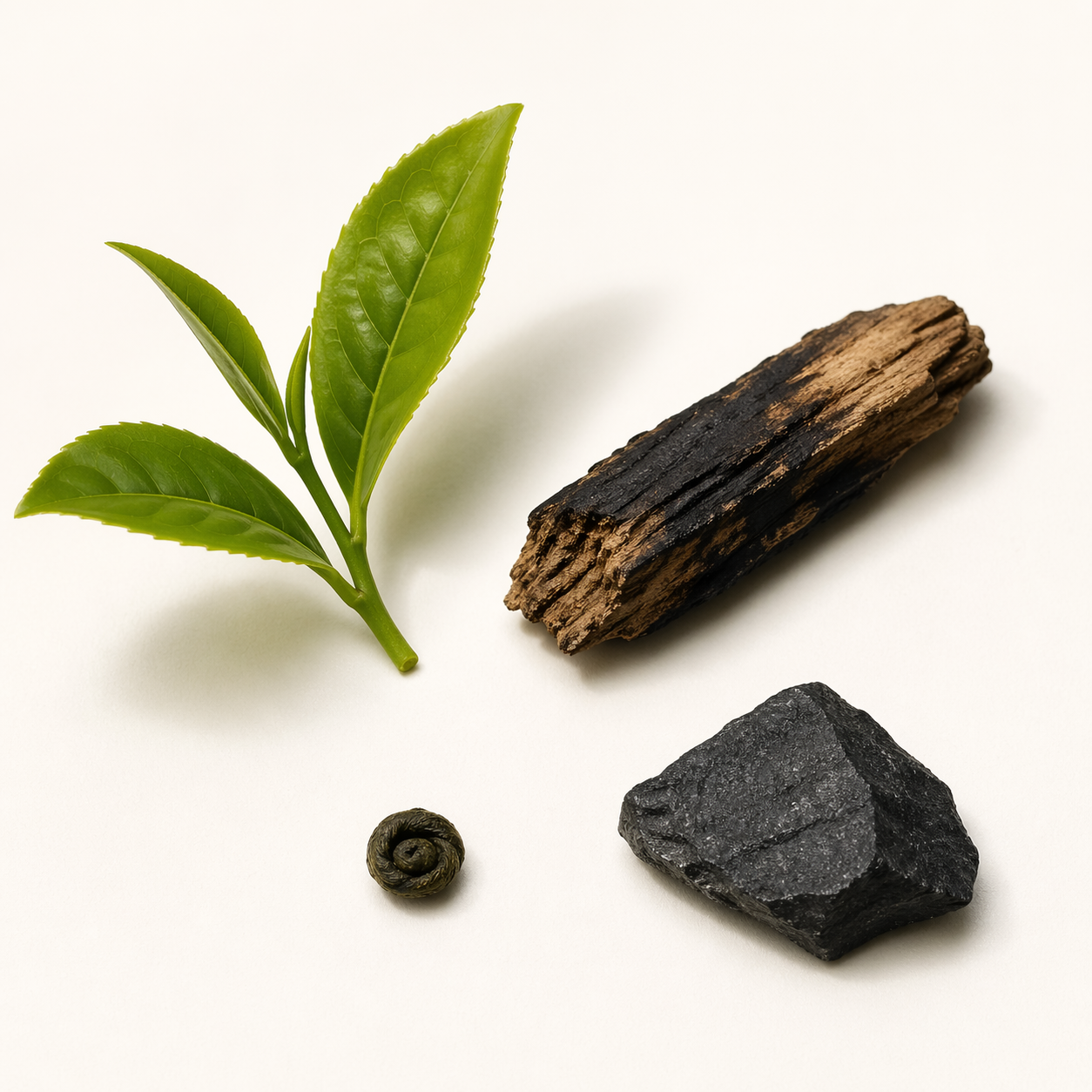 CHINA GUNPOWDER – thé vert