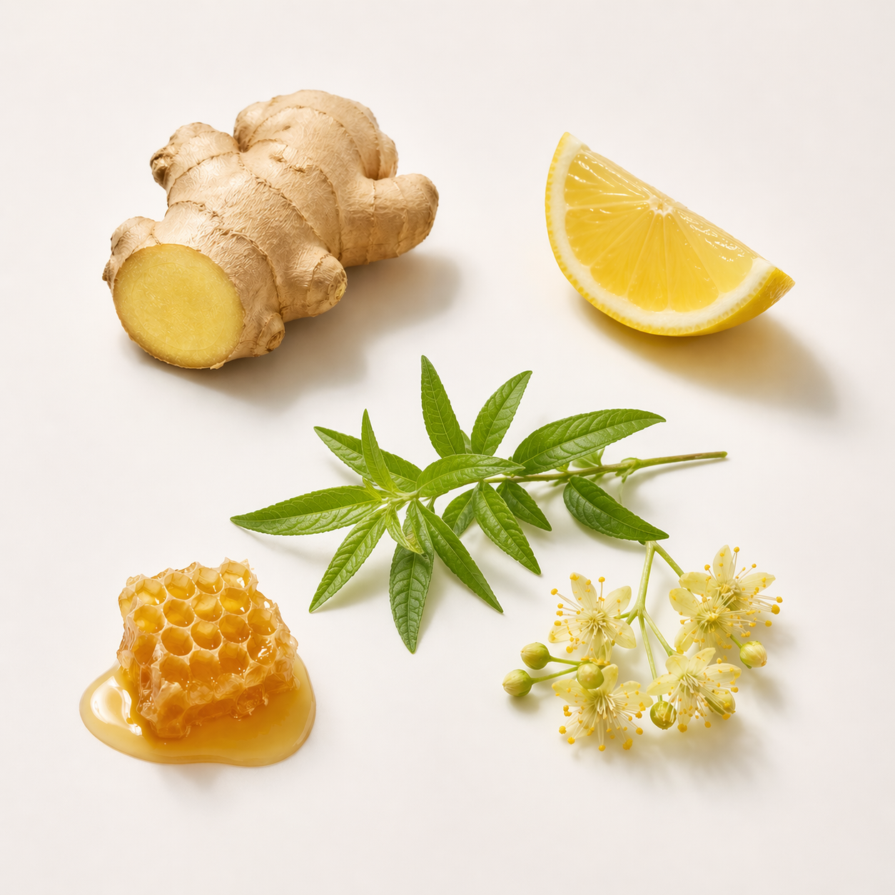 MIEL & CITRON GINGEMBRE