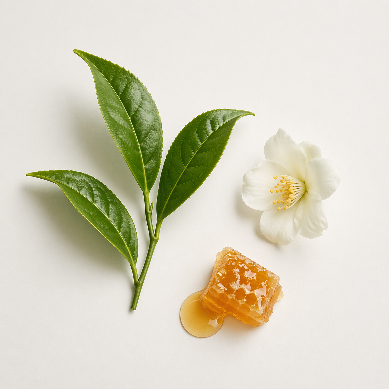 TIE KUAN YIN – oolong